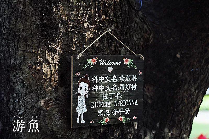 中央企业全力做好云南昭通山体滑坡救援保供